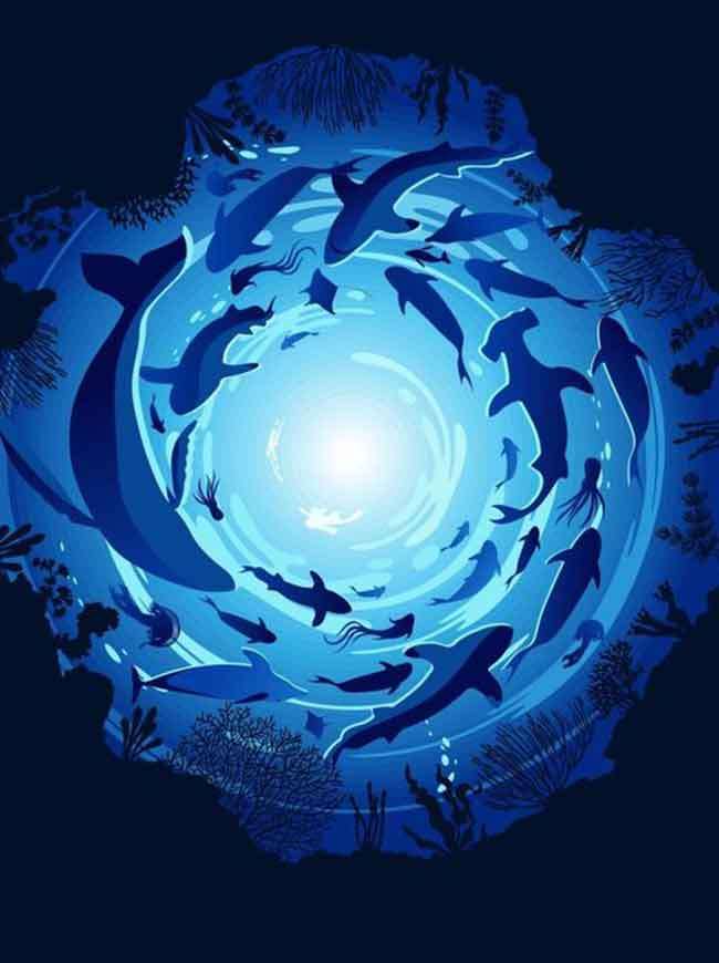 ‘For the Ocean, With Love.’ World Oceans Day with The Pearl Protectors.