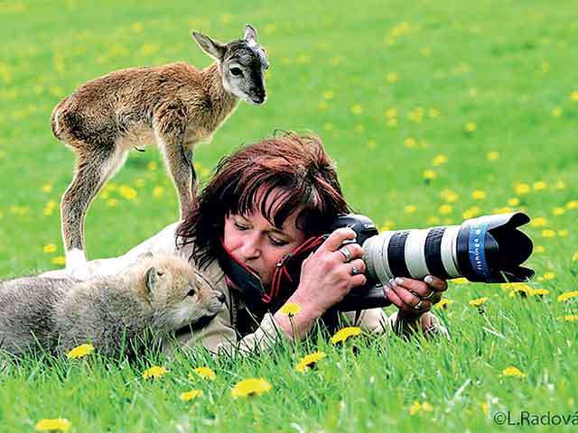 Wildlife  Photography  in Sri Lanka MORE  THAN  JUST A PRETTY Picture