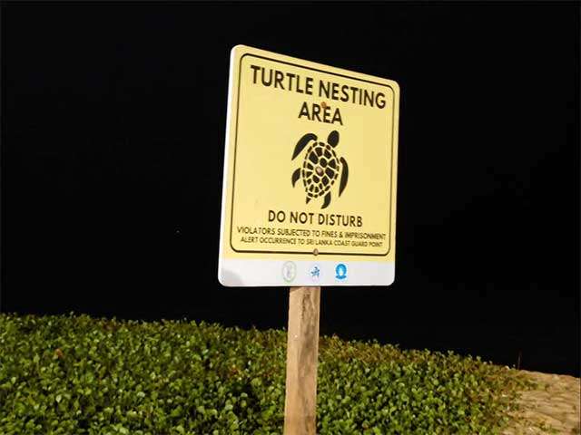 SENTINELS UNDER THE STARLIGHT Celebrating Marine Volunteerism and Advocacy!