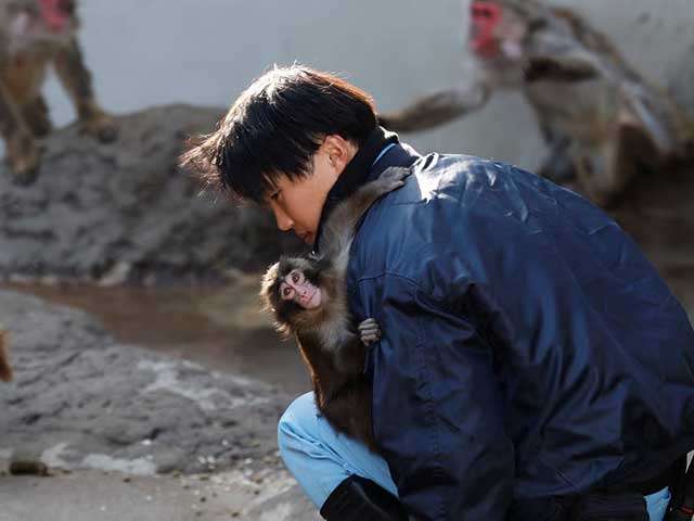 Hanging in There: What Punch’s Story Really Says About Belonging.