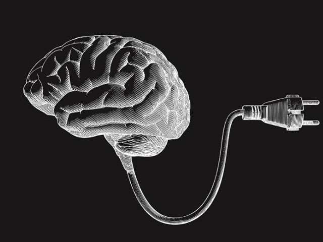 The Brain’s Energy Economy