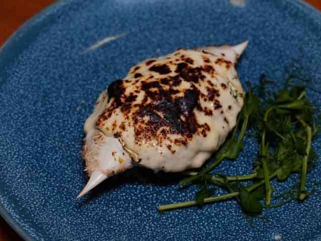 THE FAT CRAB: A SRI LANKAN MUD CRAB EXPERIENCE WORTH COMING BACK FOR